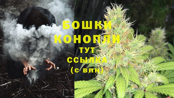 молекула духа Лиски