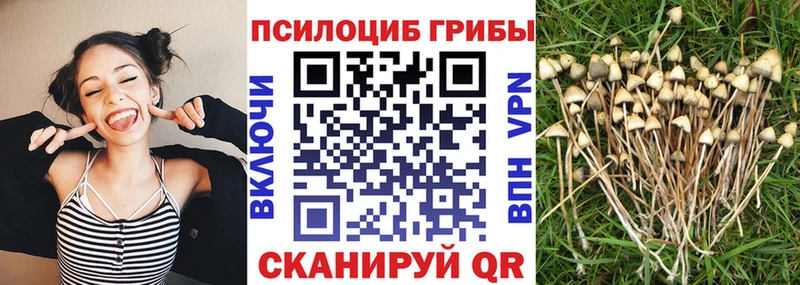 хочу   мориарти наркотические препараты  OMG ссылки  Псилоцибиновые грибы прущие грибы  Партизанск 